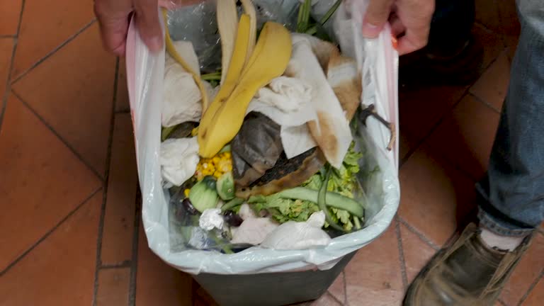 Best Carpet Removal and Disposal  in Clifton Gardens, NY